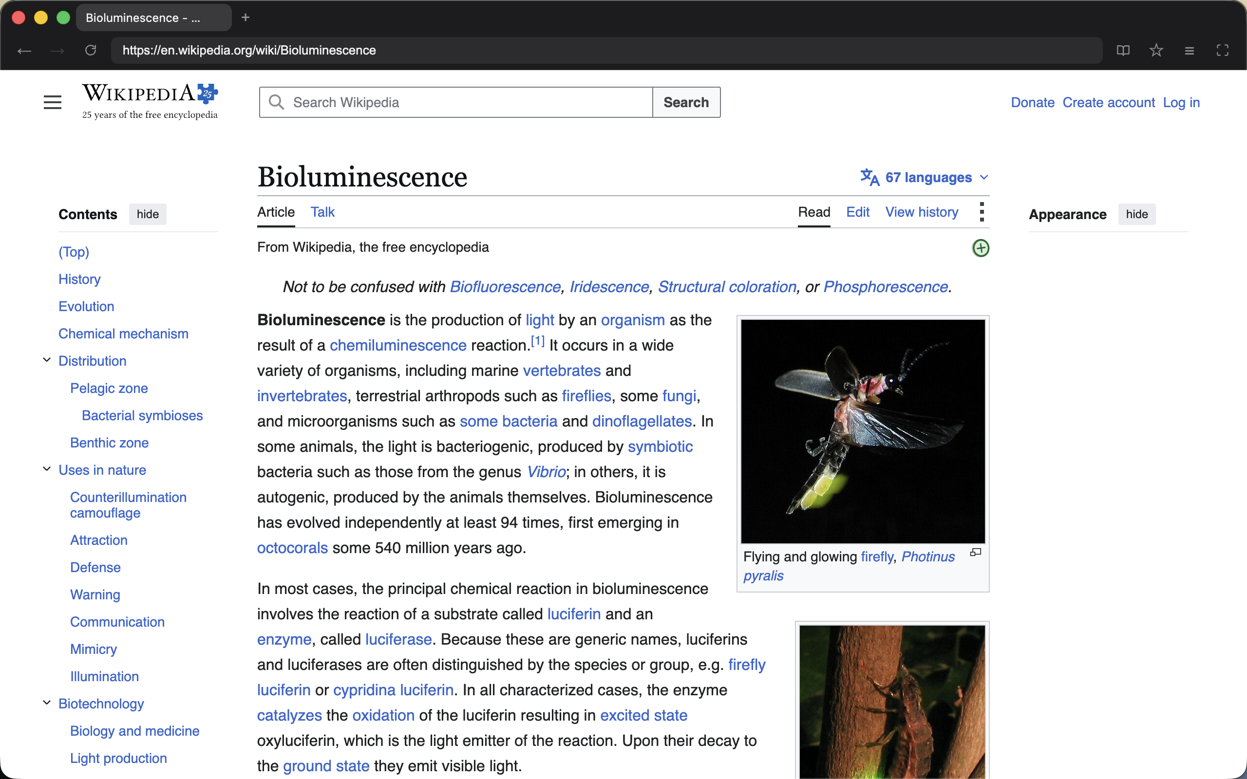Nook showing a web page in dark mode with a slim tab strip