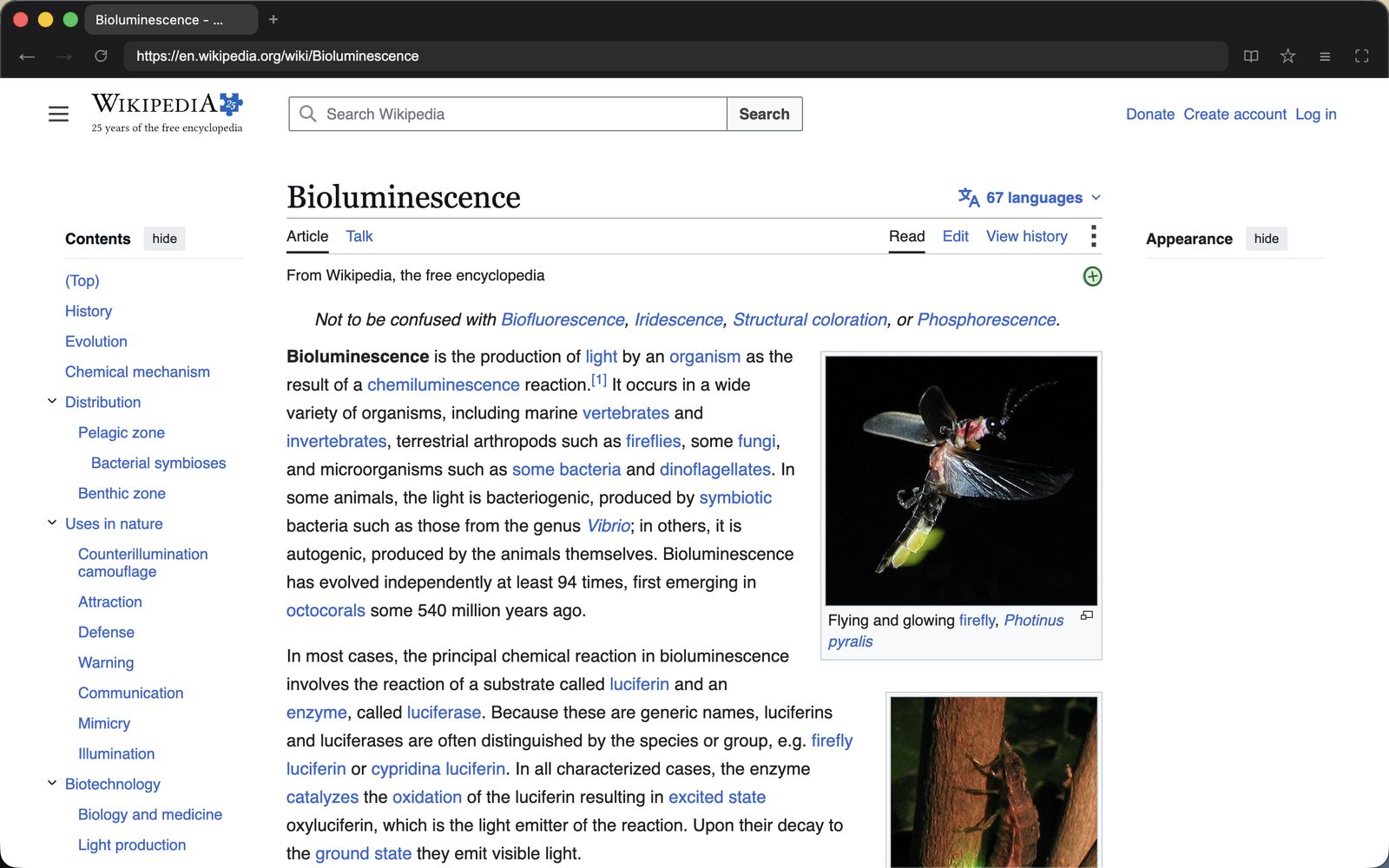 Nook showing a Wikipedia article in a dark window with a slim tab strip